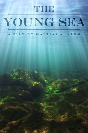 The Young Sea's poster image