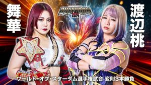 Stardom All-Star Grand Queendom 2024's poster