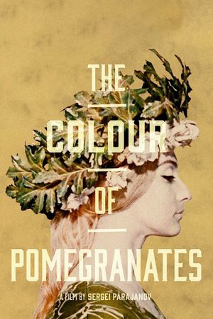 The Color of Pomegranates's poster