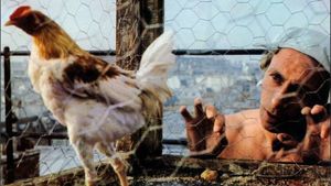 The Fighting Cock's poster