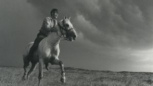The Boy Who Loved Horses's poster