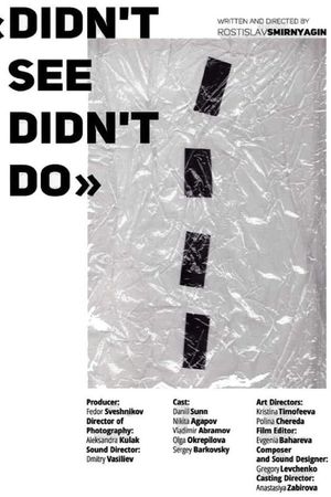 Didn't See Didn't Do's poster image