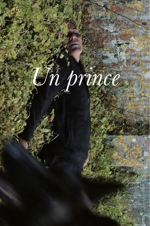 A Prince's poster