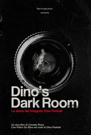 Dino's Dark Room's poster