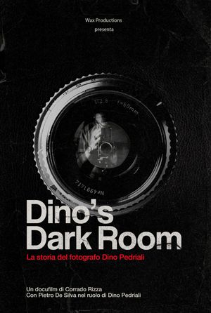 Dino's Dark Room's poster image