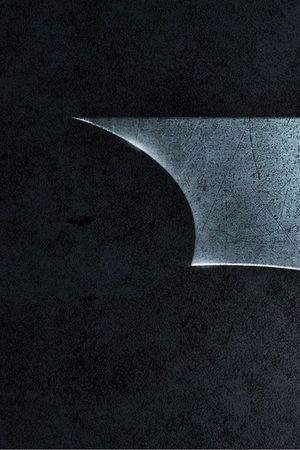 Batman Begins's poster