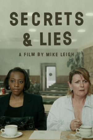 Secrets & Lies's poster