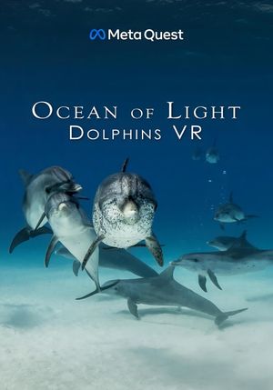 Ocean of Light - Dolphins VR's poster image