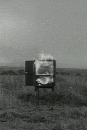 TV Interruptions: Burning TV's poster