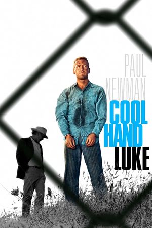Cool Hand Luke's poster