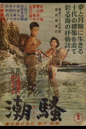 Shiosai's poster