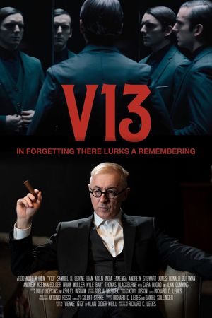 V13's poster