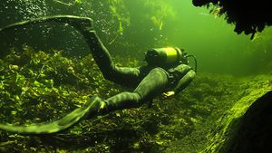 Underwater Okavango's poster