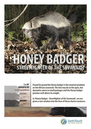 Ultimate Honey Badger's poster