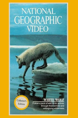 National Geographic: White Wolf's poster
