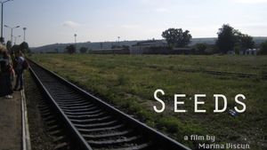 Seeds's poster