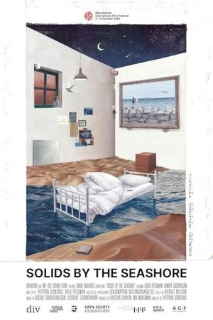 Solids by the Seashore's poster