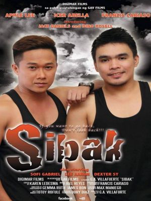 Sibak's poster