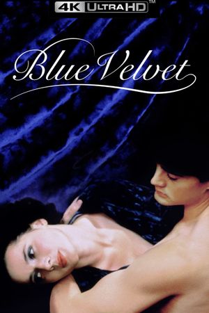 Blue Velvet's poster