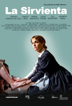 The Maid's poster