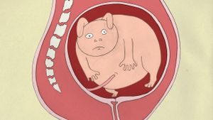 Birth's poster