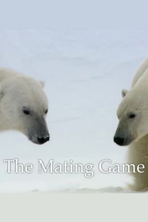 The Mating Game's poster