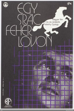 Egy srác fehér lovon's poster image