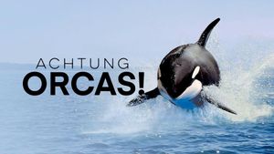 Watch Out for Orcas! Danger Off Gibraltar?'s poster