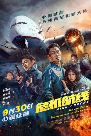 High Forces's poster