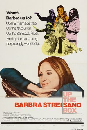 Up the Sandbox's poster