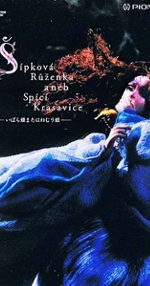 Briar-Rose or the Sleeping Beauty's poster