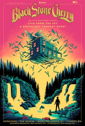 Black Stone Cherry - Live from the Sky's poster