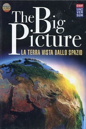 The big picture's poster