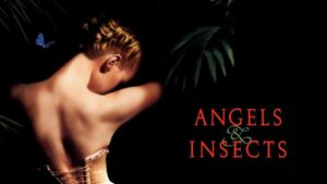 Angels and Insects's poster