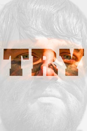 Try!'s poster image