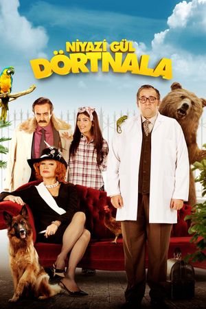Niyazi Gül: Dörtnala's poster