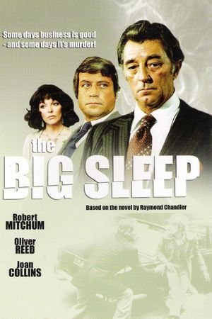 The Big Sleep's poster