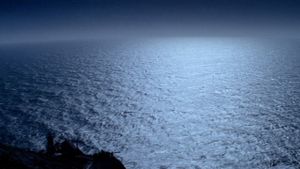 The Fog's poster