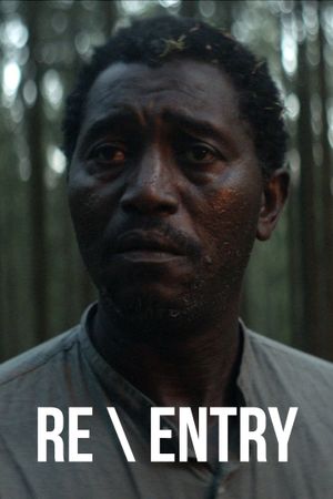 Re \ Entry's poster