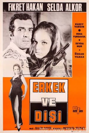 Erkek ve disi's poster