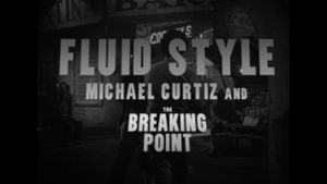 Fluid Style: Michael Curtiz and The Breaking Point's poster