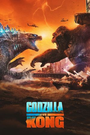 Godzilla vs. Kong's poster