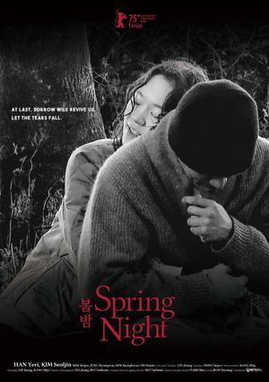 Spring Night's poster