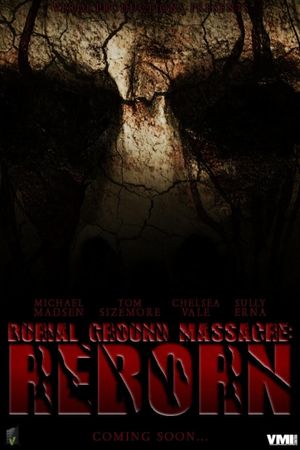 Damon's Revenge's poster