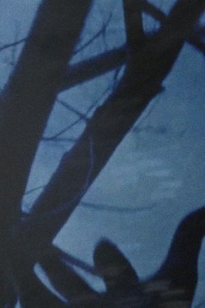 Anticipation of the Night's poster