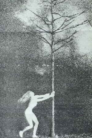 The Phallic Forest's poster