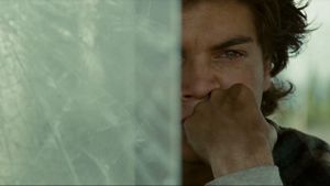 Into the Wild's poster