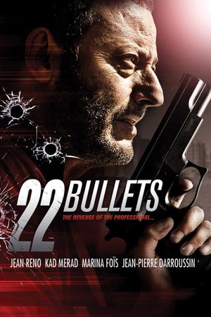 22 Bullets's poster