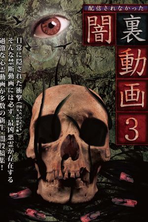 Haishin Sarenakatta Yami Ura Douga 3's poster