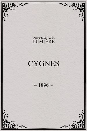 Cygnes's poster